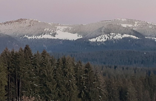 Gîte des Hauts Sapins 4* - 10 pers. An ideal location and a soothing atmosphere.