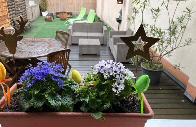 Gite Edelweiss à Eguisheim