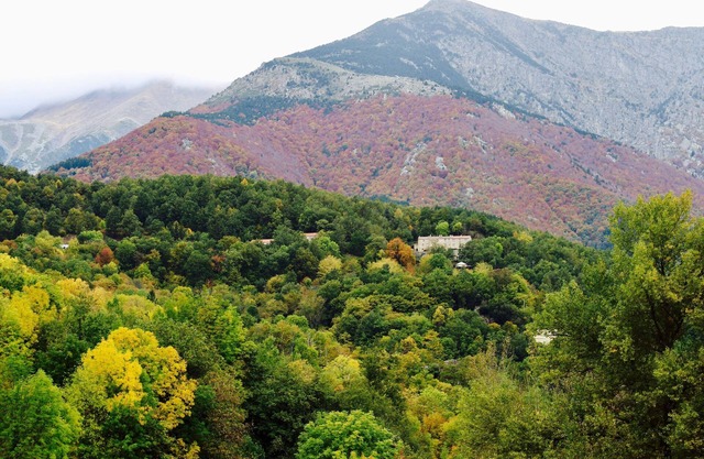 Gite with mountain views and private sauna
