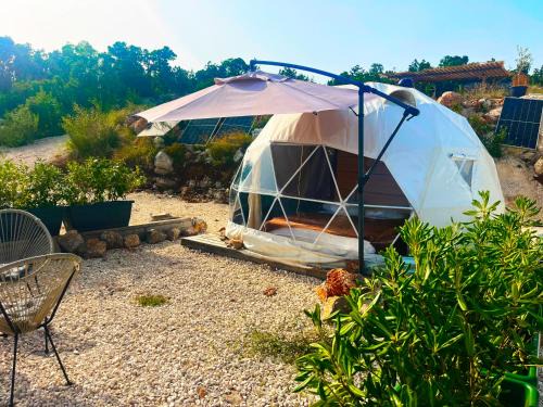 Glamp Rose
