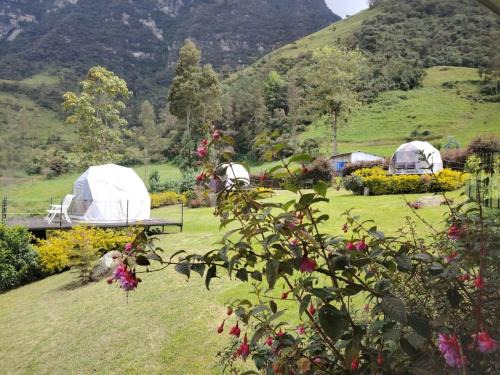 Glamping Ecoturistico La Villa