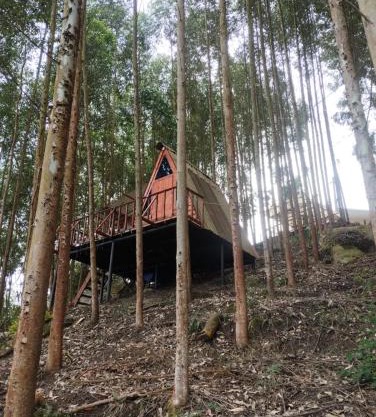 Glamping Entrepinos