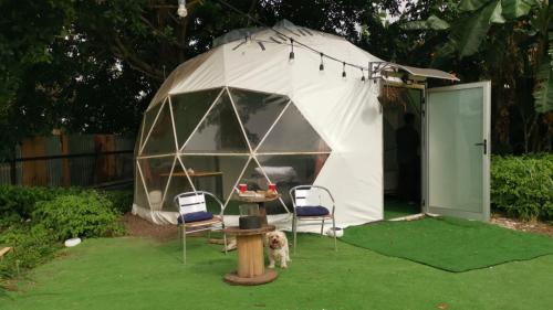 Glamping Lily