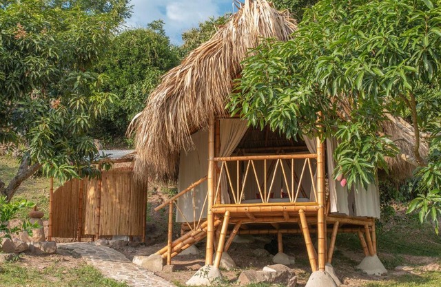 Glamping Palo de Agua