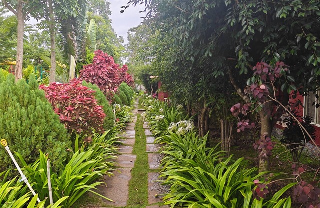 Golden Hill Resort