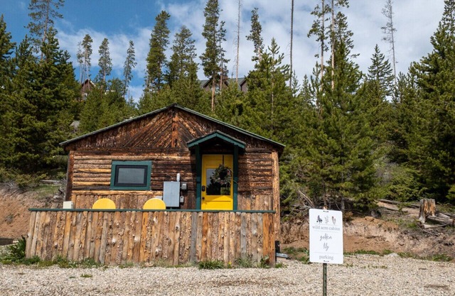 Golden Lily at Wild Acre Cabins