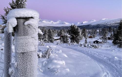 Gorgeous Home In Kvam With Sauna