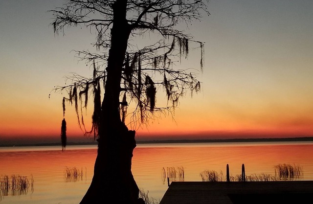 Gorgeous Lake Retreat! Fully Remodeled! Lochloosa on my Mind!