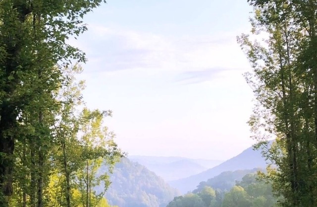 Gorgeous Mountain View 8 miles from Appalachian Trail
