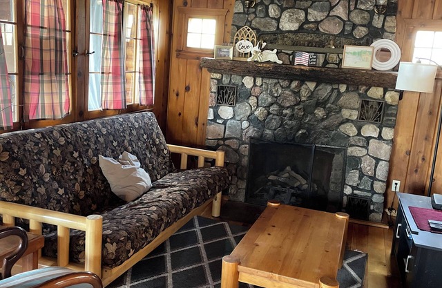 Gorgeous rustic cabin- holds10 people- amazing swimming beach in charming MN