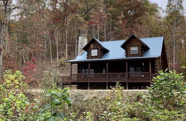 Gorgeous, tree top views from this cabin