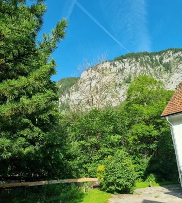 Gorshof