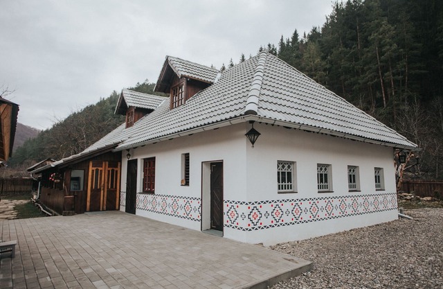 Gospodaria Lui Nea Ion