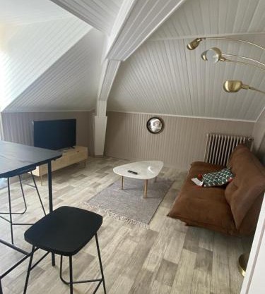 Grand appartement T2 Samois - Rickhoss Home