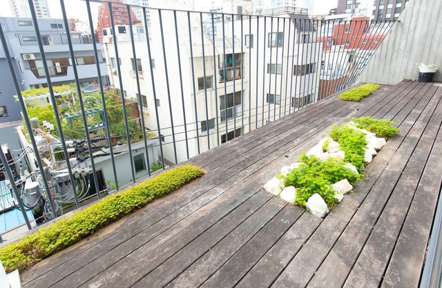 Grass Bldg