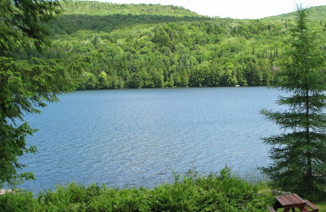 Great For Time Alone! Waterfront Cabin - Well Behaved Dogs Welcome. Go Lakeside!