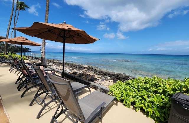 Great Specials! Ground Floor. Next to Beach and Ocean access! # 108