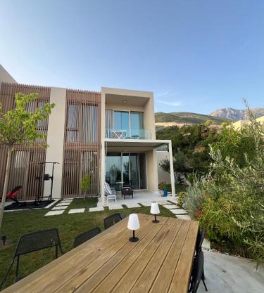 Green Coast Palase 241