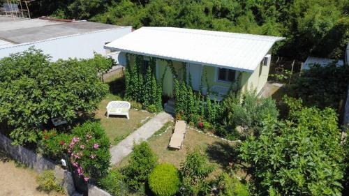 Green House and garden