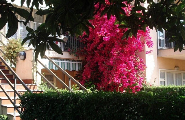GREEN OASIS, IN A PRIVATE RESIDENCE, JAST 150 m. FROM THE BEACH