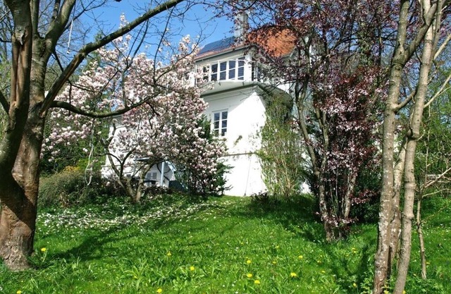 Ground floor apartment in a beautiful old villa