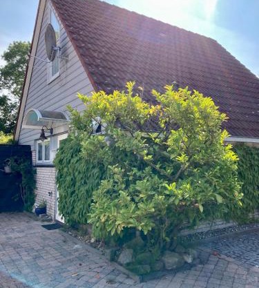 Gudrun 5 pers Equipped house with sauna. Dogs are welcome!