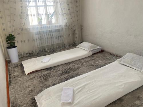 Guest House Aitunuk