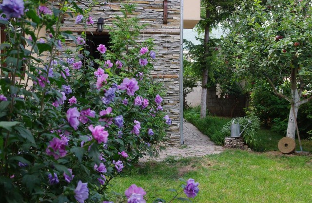 Guesthouse Viktoria