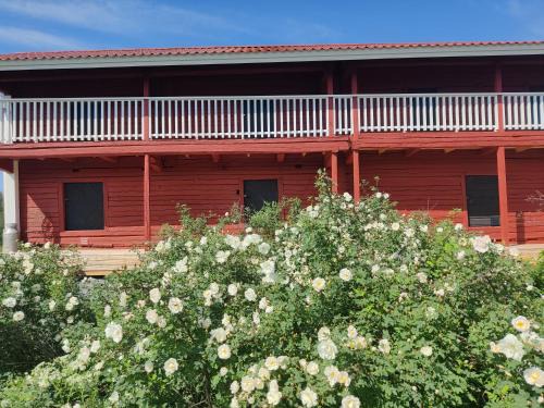 Hämeenniemi B&B Aitta, Barn