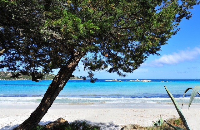 Hôtel Castell'Verde