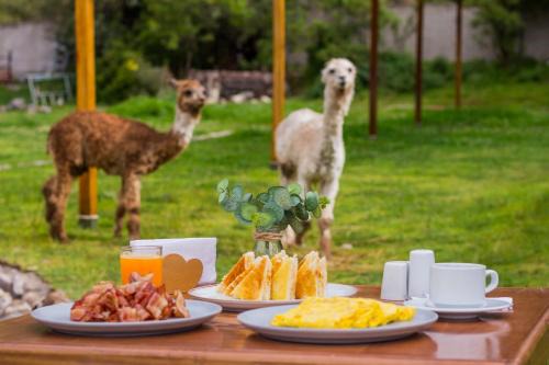 Life Hotel Valle Sagrado 