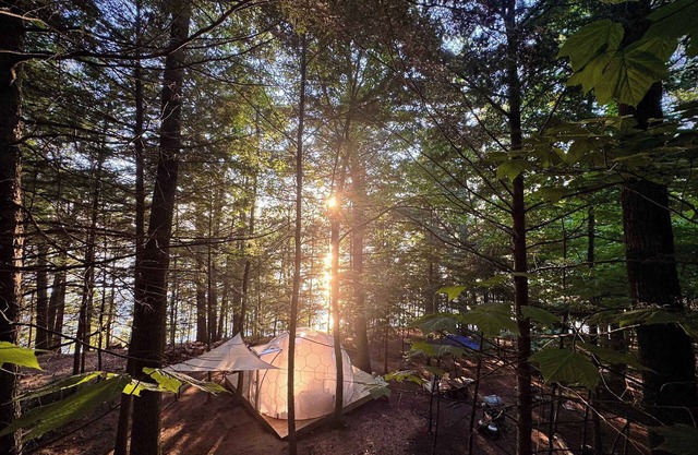 Hammock Haven Island Dome