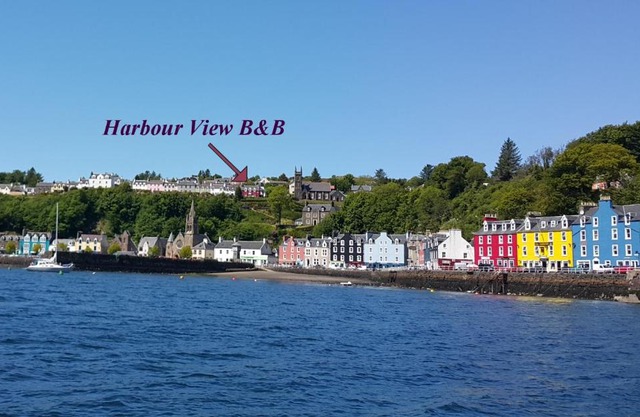 Harbour view