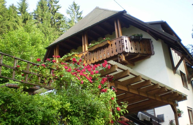 Haus am Bach - Apartment 30sqm, 1 living room/bedroom, max. 3 persons