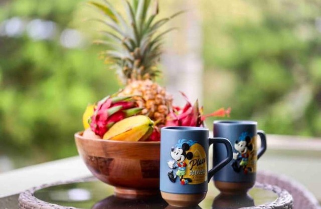 Heart of Princeville w/AC minutes from everything!