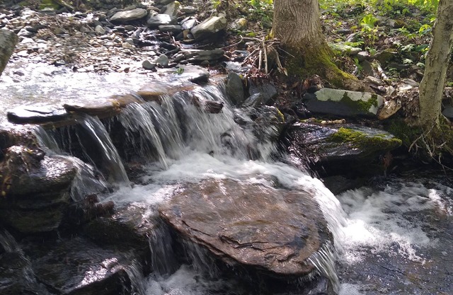 Heavenly Haven, a 2/2 home in the lovely Blue Ridge Mountains with scenic views.