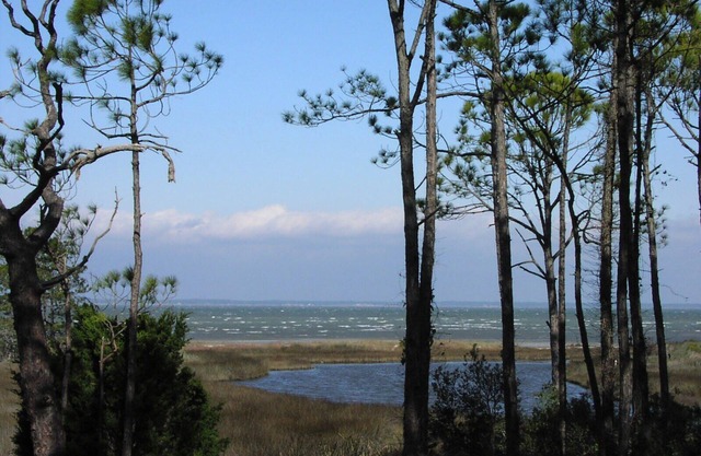 Heron Now Panoramic Bayfront Only 1.5 Blocks From Nationally Ranked Gulf Beach