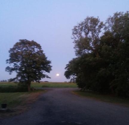 Het Friese Landschap