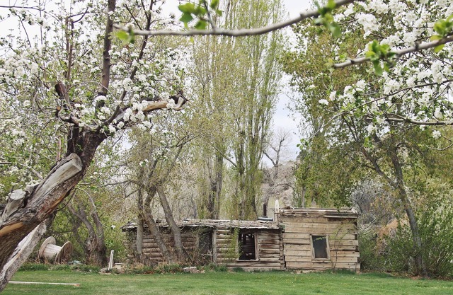 Hidden Canyon Retreat
