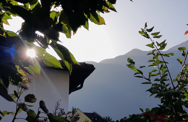 Hidden Gem in Trentino Authentic Alpine Stay in the Dolomites with AC