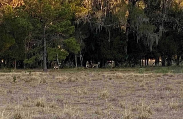 HIDDEN GEM IN WEST FLORIDA! 12 PPL CABIN