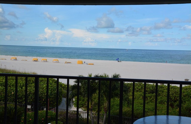 Hidden Jewel on St. Pete Beach