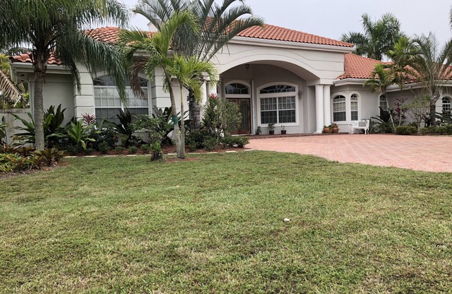 Hidden Paradise In Palm City #1
