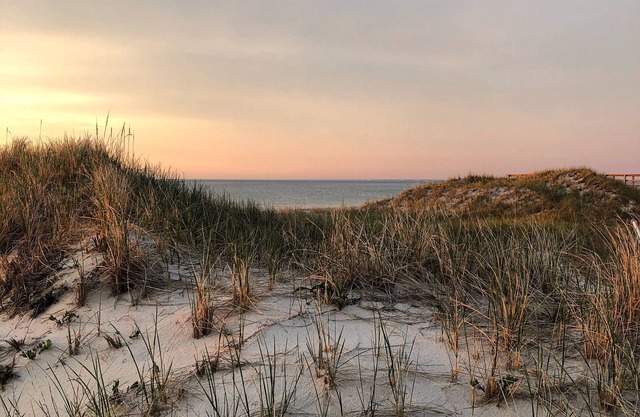 Hidden paradise in Quivet Neck
