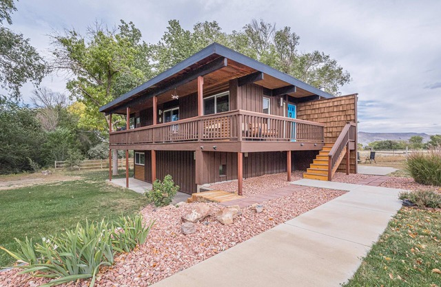 Hidden Serenity: Pet Friendly Patio Dining