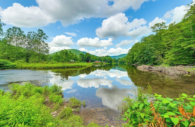 Hike, Fish & Kayak: Delaware River Cabin w/Views