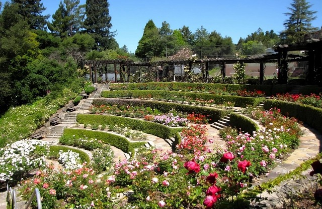 Hiking at Ridgeview Open Space! 3 Pet-friendly Units w/Self Parking & Starbucks
