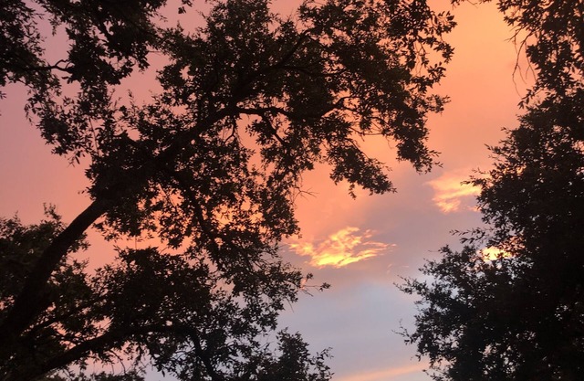 Hill country Studio, easy access to Downtown and Airport