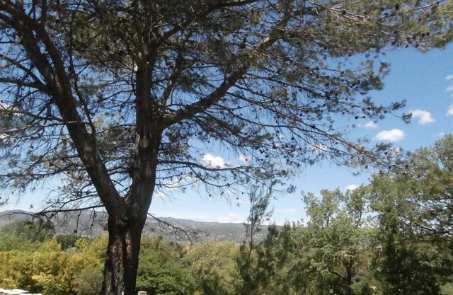 Hill of Pines - ANIANE