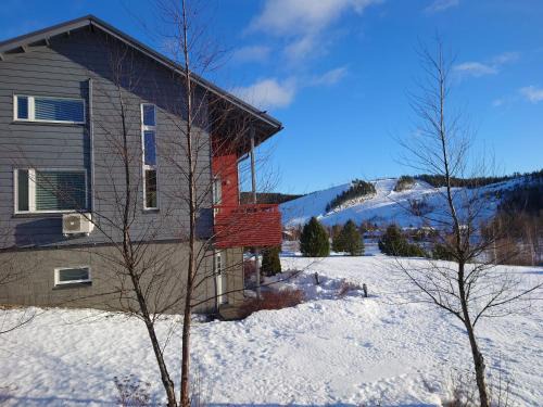 Himos Villa Himalaja
